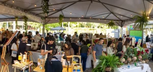 Feira das Ideias 2026 no MIS: Entrada Grátis para Descobrir Arte, Gastronomia e Criatividade em SP