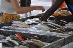 Páscoa Segura: Governo de SP ensina a escolher peixes como bacalhau e tilápia para evitar intoxicação