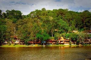 Turismo Rural em SP Ganha Impulso: Governo Lança Programa Inovador para Valorizar Campo e Tradições