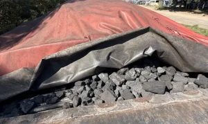 100 Toneladas de Coque Siderúrgico Apreendidas em Itaguaí: CSN Acusada de Crime Ambiental, Empresa Nega Irregularidade