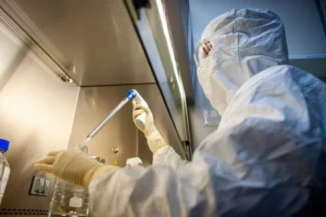 Febre Amarela em Metrópoles: Estudo da USP Revela Risco de Propagação Acelerada Perto de Grandes Cidades