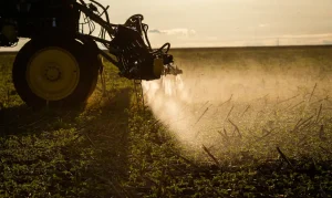 Agronegócio Inova com Crédito do FAT: Produtores Rurais e Pescadores Terão Acesso Facilitado a Financiamento para Modernização e Digitalização