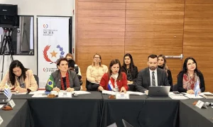 Brasil propõe pacto regional contra feminicídio no Mercosul com foco em cooperação e justiça