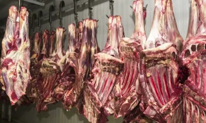 China Suspende 3 Frigoríficos Brasileiros por Irregularidades Sanitárias em Carne Bovina, Afetando Exportações de JBS, PrimaFoods e Frialto