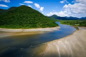 Guia Gratuito Revela os Melhores Pontos da Mata Atlântica Paulista para Observar Pássaros Raros e Roteiros Sustentáveis