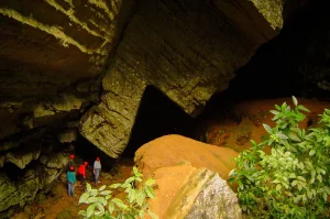 Vale do Ribeira Brilha no Novo Guia de Turismo de Natureza de SP: Um Paraíso para Observação de Vida Silvestre