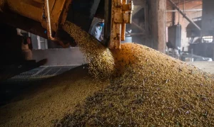 Economia do Brasil Acelera 1,1% no 1º Trimestre de 2026 Impulsionada pelo Agronegócio e Investimentos, PIB Atinge R$ 3,3 Trilhões