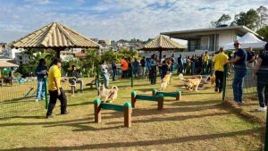 Parque dos Ipês passa a contar com ParCão para lazer e convivência entre animais