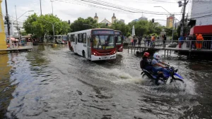 Dia Mundial do Meio Ambiente alerta sobre o efeito das mudanças climáticas