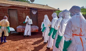 República Democrática do Congo: Ebola Confirma 71 Novos Casos, Totaliza 452 Infecções e 82 Mortes em Surto Severo