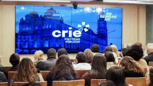 Crie Políticas Públicas: SP lança maratona de cursos online para impulsionar gestores culturais e fomentar a economia criativa