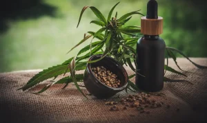 Projeto Inovador em Noronha Usa Cannabis Medicinal para Transformar Vidas de Mães e Crianças Atípicas