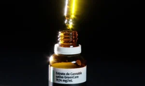 Musculação Lidera Atividade Física de Pacientes com Medicamentos Canábicos Importados no Brasil, Revela Pesquisa