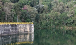 São Paulo captará mais água do Rio Paraíba do Sul, que abastece o Rio de Janeiro, para reforçar o Cantareira em meio à estiagem