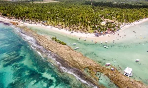 Barulho de Lanchas e Turistas Silencia Peixes: Estudo da UFPE Revela Impacto Chocante na Comunicação Subaquática