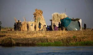 Fome Mundial: 645 Milhões Afetados em 2025, Relatório da ONU Revela Avanços e Desafios Urgentes