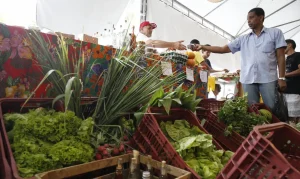 Autônomos e Produtores Rurais: CNPJ Ganha Novo Prazo em Reforma Tributária; Entenda as Mudanças