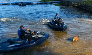 Capivara Ferida por Flecha na Represa de Guarapiranga Morre; Investigação Aponta Caça Ilegal na Zona Sul de SP