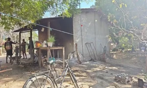 Força-tarefa desbarata exploração: 89 trabalhadores resgatados de condições degradantes na colheita de café em Minas Gerais
