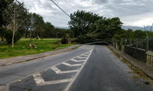 Vento a 125 km/h Devasta SP: Duas Vidas Perdidas, Alerta Laranja Ativo e Impacto em Aeroportos