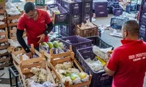 Crédito para Agricultura Familiar: Governo Anuncia R$ 97,3 Bilhões e Reduz Juros para Alimentos Básicos e Orgânicos