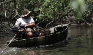 INSS libera R$ 874 milhões para 149,5 mil pescadores artesanais em julho: saiba quem tem direito ao Seguro-Defeso