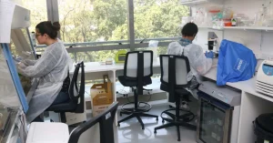Inteligência Artificial Revoluciona Combate à Dengue em São Paulo: IA Mapeia Áreas de Alto Risco com Precisão Inédita