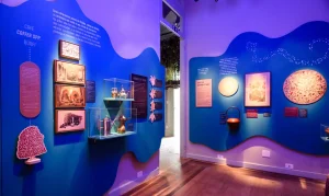Exposição “O Tempo das Plantas” no Rio: Uma Imersão na História do Chá e Café, Conectando Brasil, Ásia e África