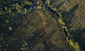 Produtor Rural: Juros de até 7,52% para Projetos Sustentáveis em 2026/2027 com Fundos Constitucionais