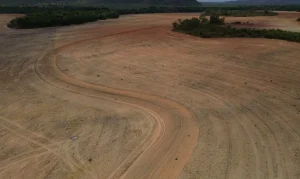 Fim da Moratória da Soja: Alerta de Desmatamento de 1,4 Milhão de Hectares na Amazônia e Emissões de CO₂ Comparáveis ao Canadá