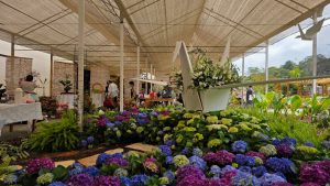 Expo Aflord começa neste sábado com expectativa de mais de 40 mil visitantes e inauguração do parque permanente