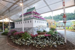 3ª Expo Aflord chega ao último fim de semana com exposição e venda de flores, shows e Miss Batian