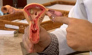 Chamada Pública CNPq: R$ 60 Milhões para Pesquisas em Endometriose e Saúde Menstrual com Foco no SUS