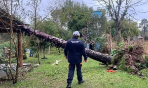 Alerta de Tempestades e Vendavais: Sul, Sudeste e Centro-Oeste em Risco nos Próximos Dias