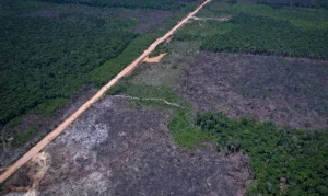 Desmatamento na Amazônia despenca 36,87% e atinge menor nível desde 2016: Dados do Inpe animam e desafiam EUA