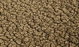 Desertificação no Brasil: 39 Milhões Ameaçados, Caatinga é Solução Global e COP17 Discute Futuro Hídrico