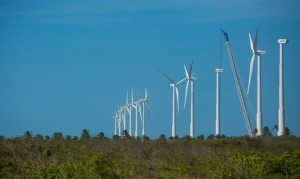 Projeto Futuros Verdes no Nordeste Mapeia Caminhos para Economia Verde e Emprego Sustentável na Região