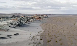 Fungos Subterrâneos: A Revolução Silenciosa que Pode Restaurar Terras Degradadas e Combater a Crise Climática