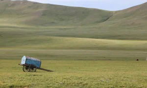 Crise Climática na Mongólia: Nômades Lutam Contra Degradação da Terra e Eventos Extremos