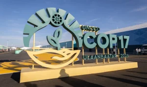 Nordeste na COP17: Estados buscam U$$ 100 milhões para Caatinga em transição energética e hídrica