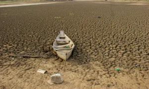 Brasil Promete Restaurar 163 Mil Km² de Terras Degradadas até 2030: Metas e Atrasos
