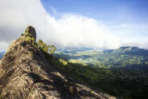 Turismo de Natureza em SP: Descubra Trilhas Incríveis, Parques Preservados e Ecoturismo para Renovar as Energias