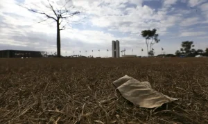 Alerta ONU: Planeta Rumo aos 1,5°C de Aquecimento em 3 Anos, Ameaças à Saúde, Agricultura e Economia se Intensificam