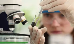 Jovens Cientistas: Prêmio Carolina Bori Abre Inscrições para Meninas e Mulheres com Chance de Ganhar R$ 13 Mil e Mentoria Exclusiva