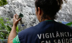Alerta Dengue em SP: Estado registra mais de 58 mil casos e 42 mortes, com Taubaté liderando óbitos