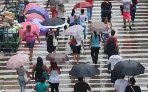 Chuvas Intensas em SP: Alerta Máximo para Crianças e Idosos! Doenças e Perigos em Alagamentos Exigem Atenção Urgente