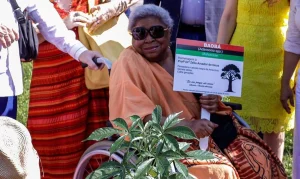 Morre Zélia Amador de Deus, Ícone da Luta Antirracista e Educadora que Transformou a Amazônia Negra