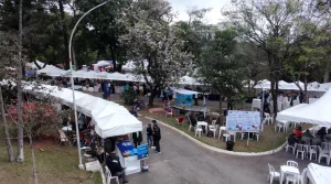 Festa ‘Tem Peixe na Vila’ em SP: Sabores do mar, diversão e ciência para toda a família em setembro