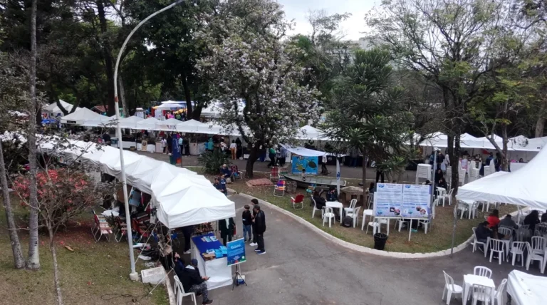 Festa ‘Tem Peixe na Vila’ em SP: Sabores do mar, diversão e ciência para toda a família em setembro