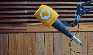 Rádio MEC Apresenta Ópera Rara: Vênus e Adônis Ganha Montagem Contemporânea com Conosco Coletivo